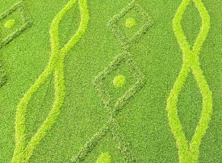 微信图片_20240805113427.jpg