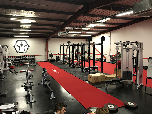synthetic-grass-for-gyms-1.jpg