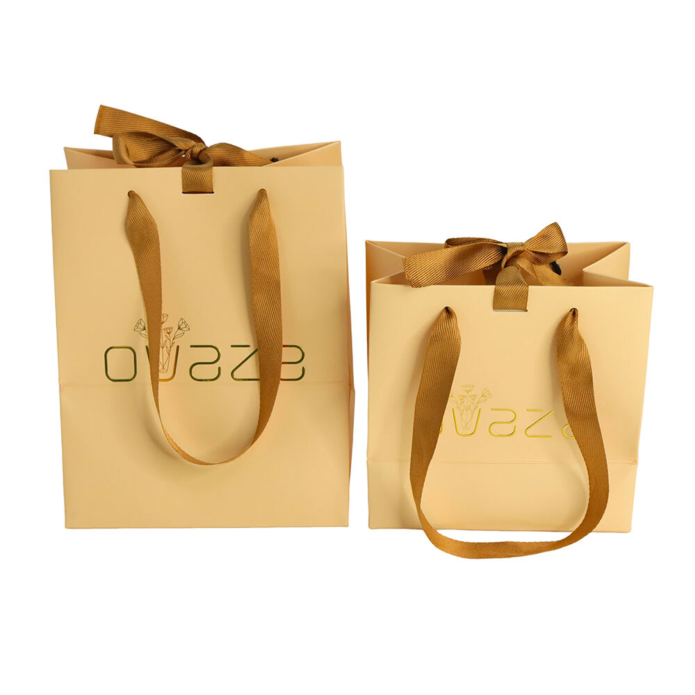 Customized Luxury Art Coated Paper Shopping Bag with Ribbon Logo Eco-Friendly for Shipping Usage