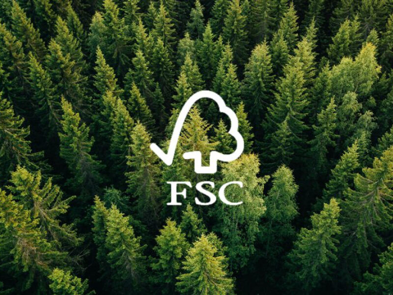 Sustainable Packaging Materials: Eco-Friendly Options