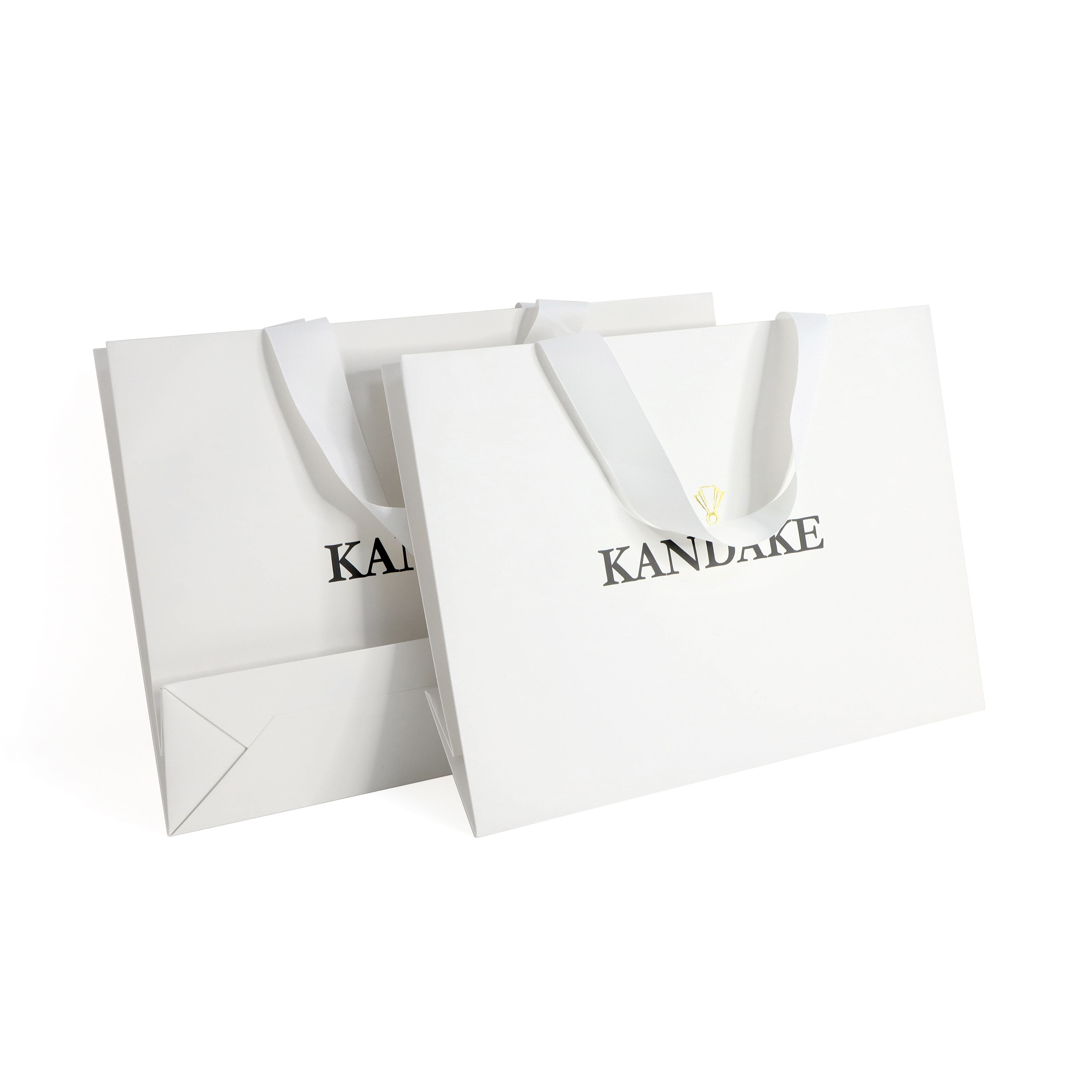 Custom Branded Logo Luxury Paper Packaging Gift Shopping Bag Paper Bag With Ribbon Handle for Clothing