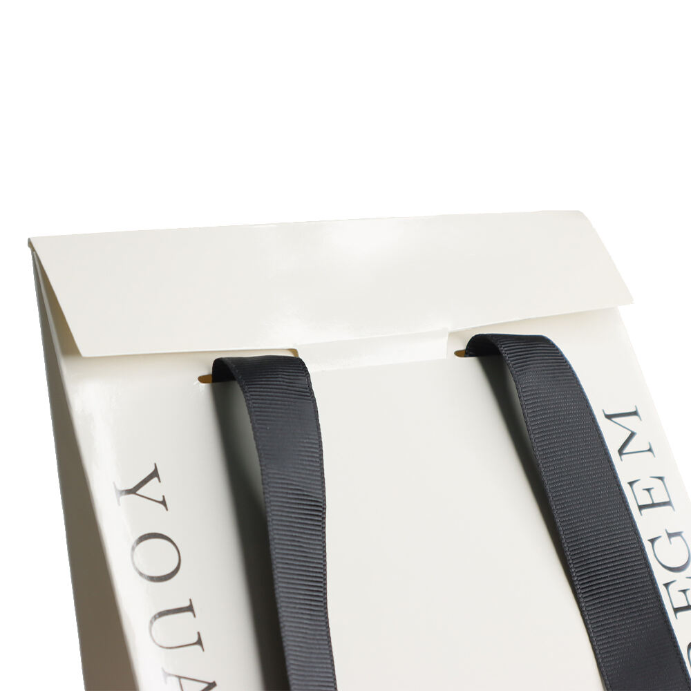 Custom Paper Packaging Gift Shopping Bag ForJewelry Watch Eyewear With Ribbon handle
