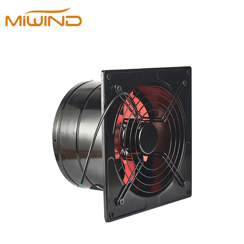 Comprehensive Customization and Technical Support