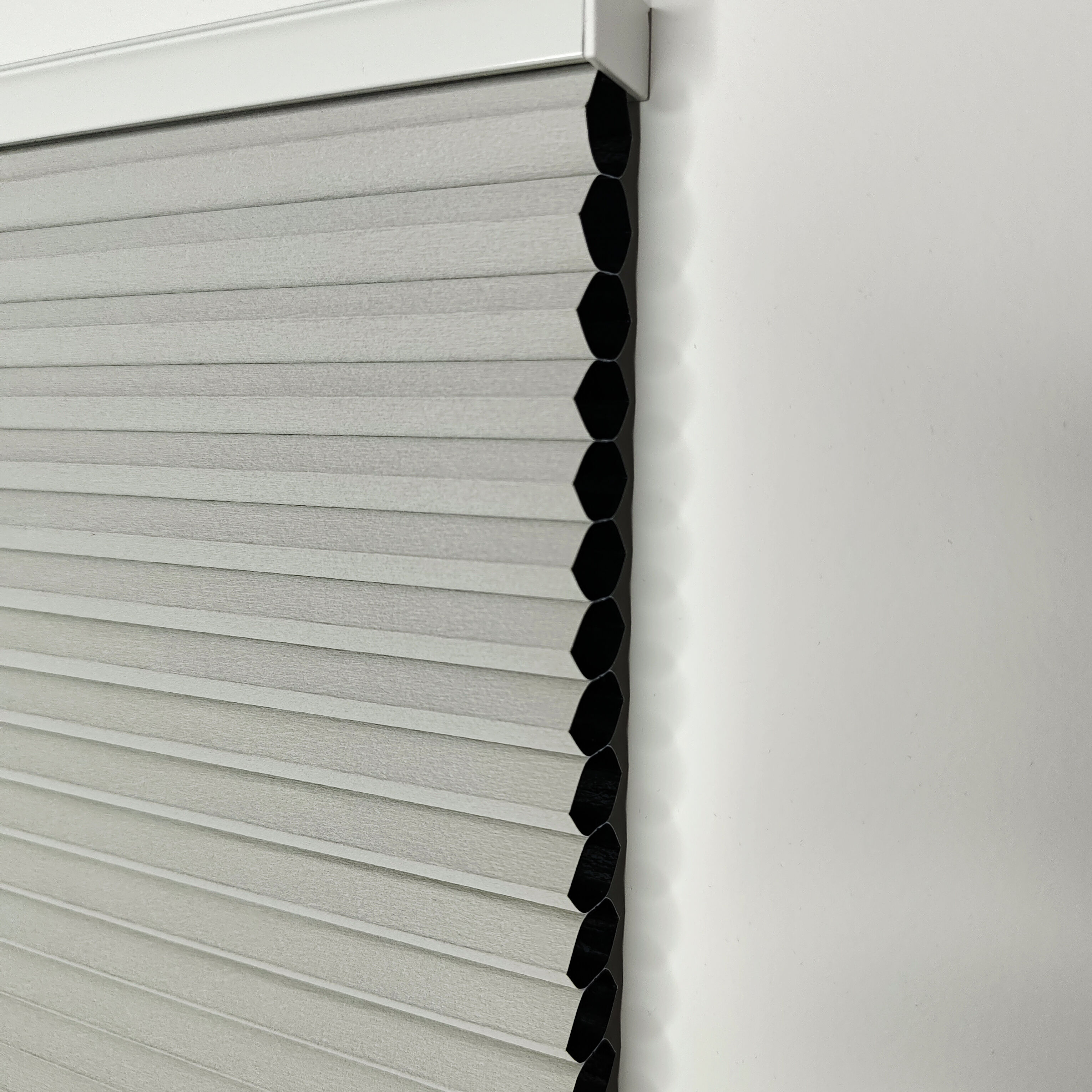 Fast Shipping and Reliable Customer Service