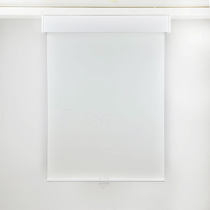 Add Sophistication to Your Home or Office with Roller Shades