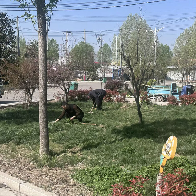 Launches paulownia planting campaign, practicing the concept of sustainable development.