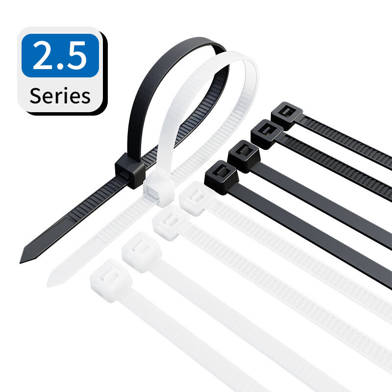 2.5mm/0.098
