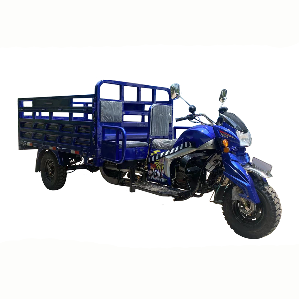 2025 Nouveau Style 250cc Tricycle Passagers et Marchandises Motocyclette à Trois Roues à Carburant Essence