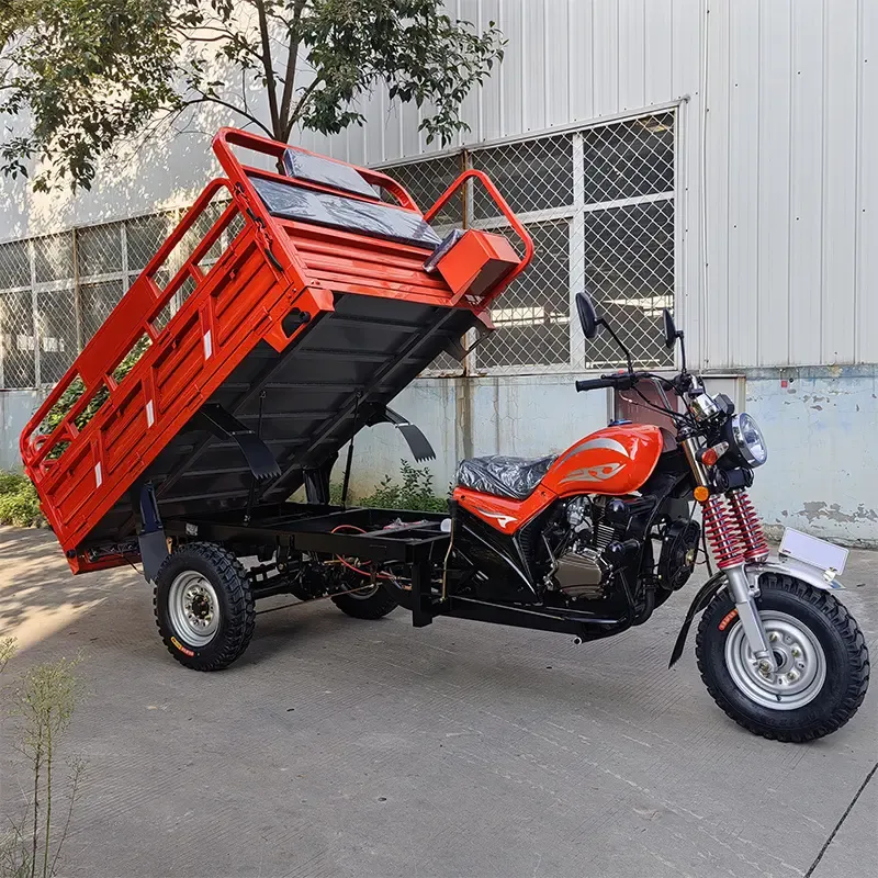 Top 4 Cargo tricycle Manufacturers In Australia