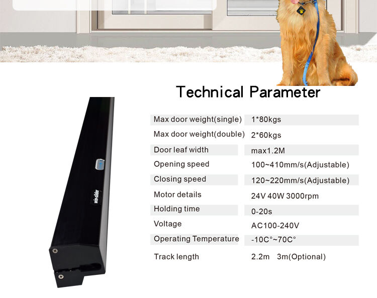 photobank (90).jpg