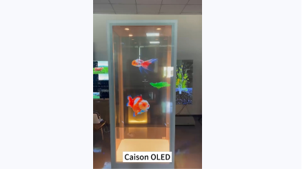 Transparent OLED Case Video-9