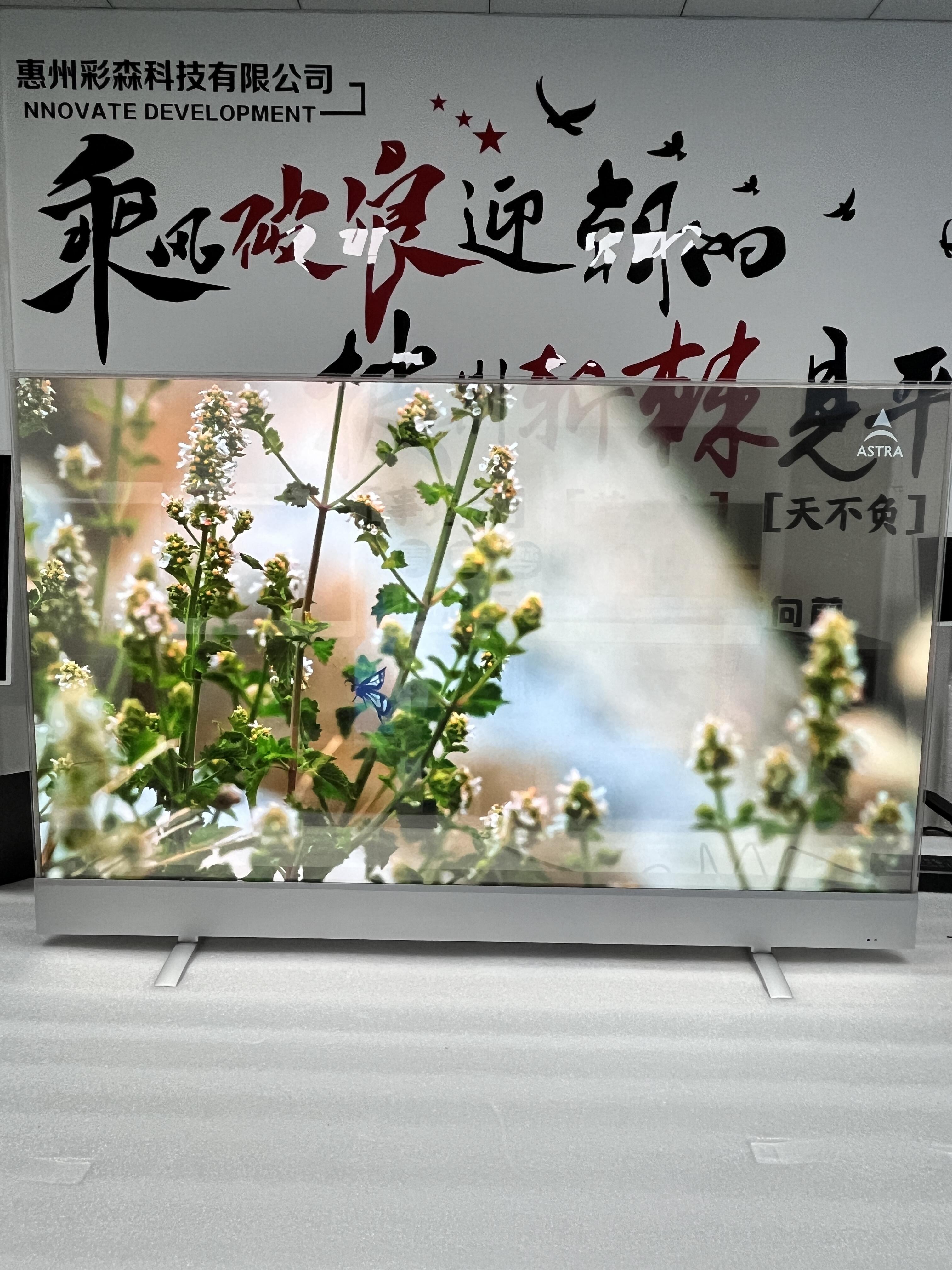 Innovative Circular Design for Enhanced User Experience