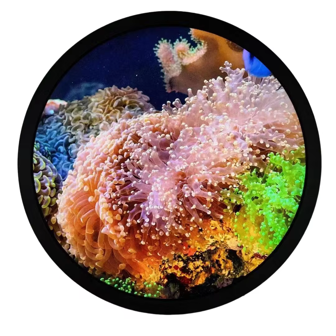 Jak podłączyć okrągły wyświetlacz LCD do mikrokontrolera?