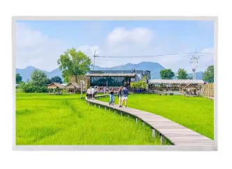 Migliori Marche per Schede di Controllo LCD 8K