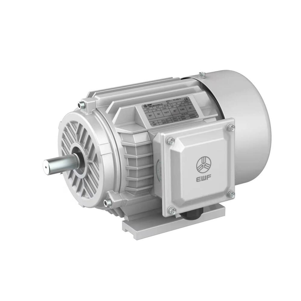 Energy - Saving Self - Ventilated Air - Cooled Squirrel - Cage Three - Phase Asynchronous Motors for Conveyance