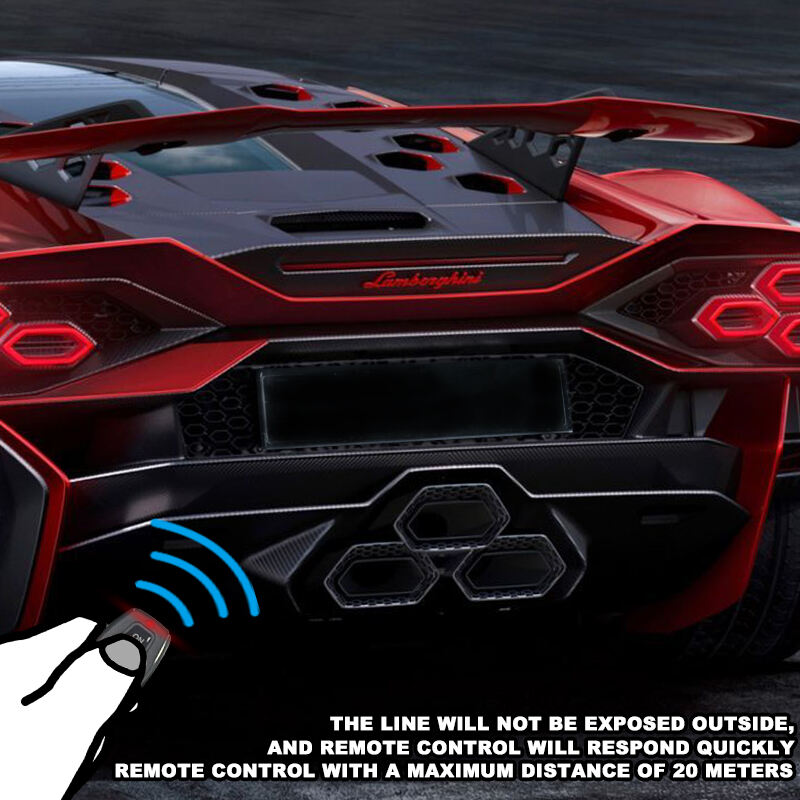 vanished license plate