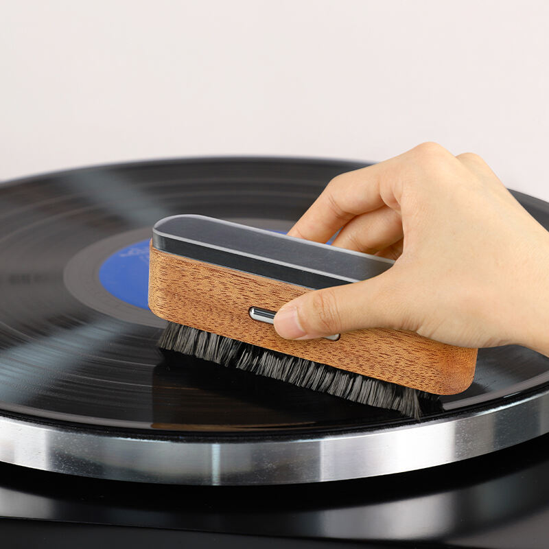 Vinyl Record Cleaning