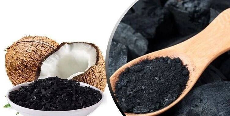 ACTIVATED carbon coconut shell.jpg