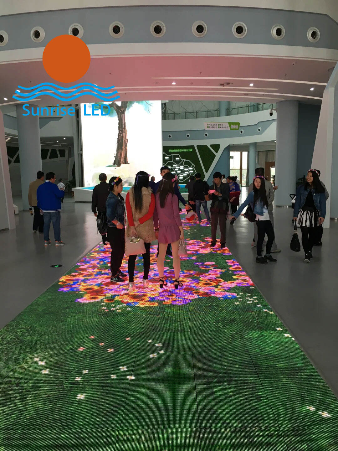 ¿Qué indicadores hay que tener en cuenta al elegir pantallas LED para suelo?