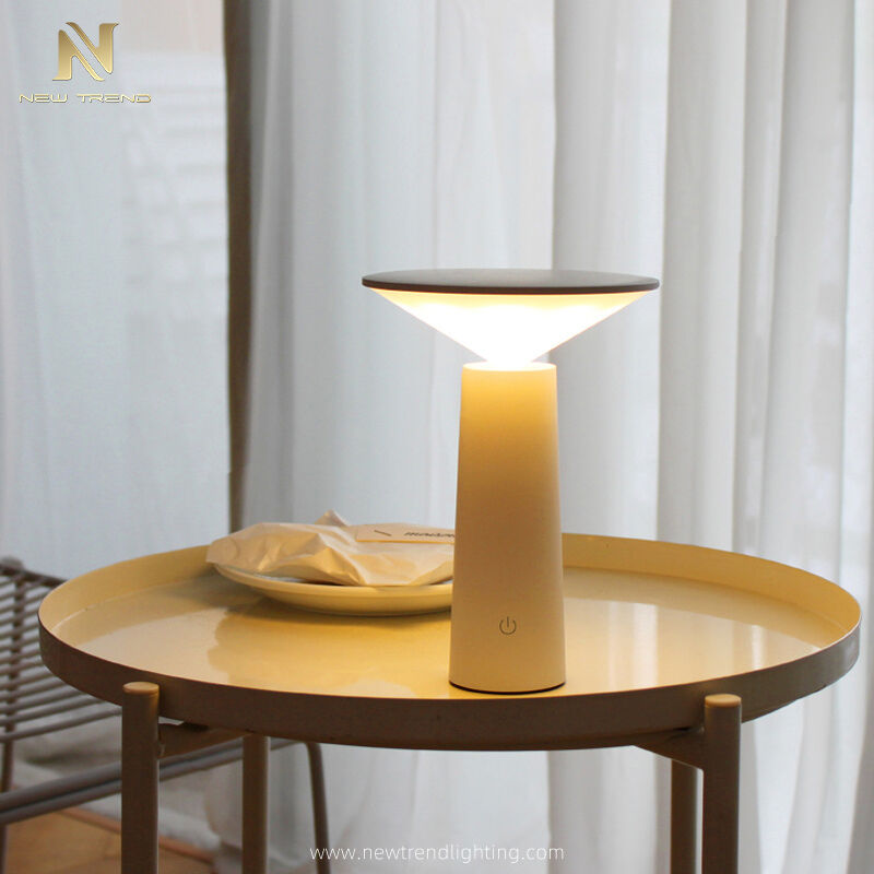 Professional Portable LED Lamp with Smart Features - Versatile Lighting ...