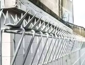 image(43c1501459).png