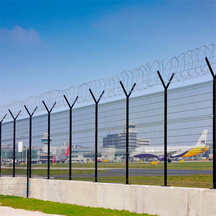 Fast and efficient delivery options for bulk orders