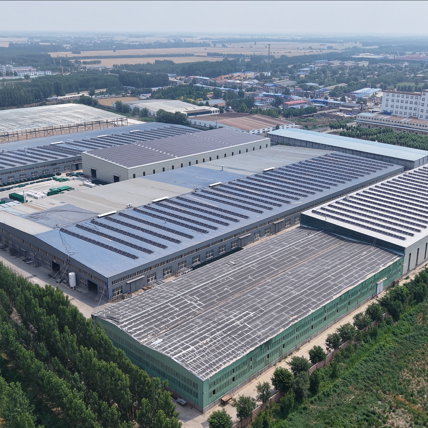 Uncover the secrets of Jinbiao, a creature of beauty and power.