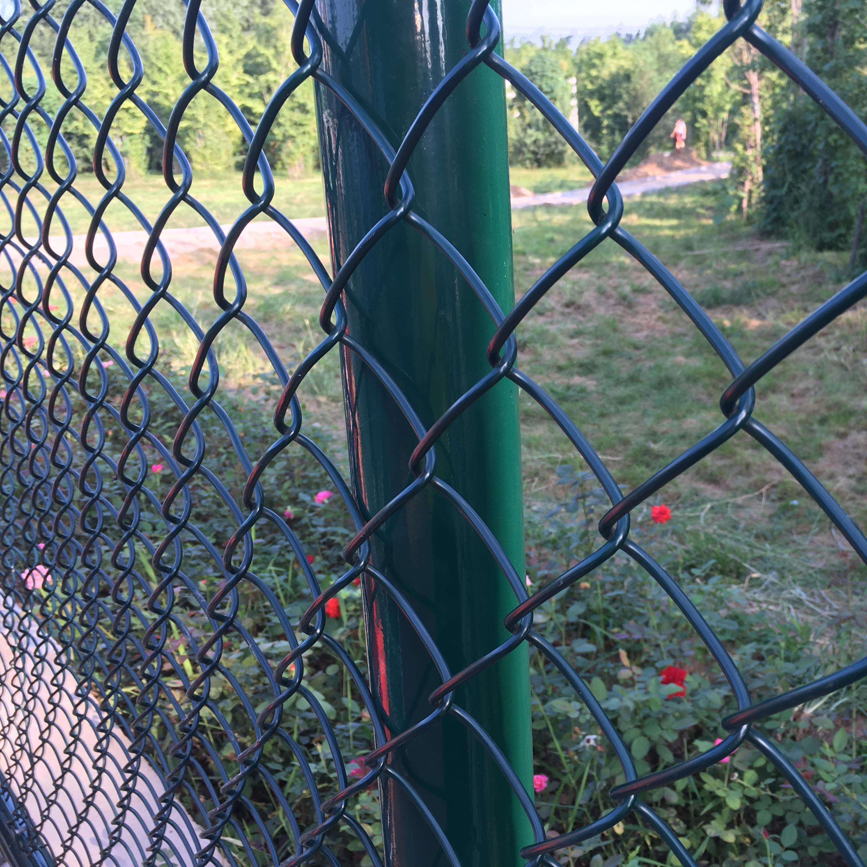 Expert Advice and Support from Top Tennis Court Fencing Suppliers