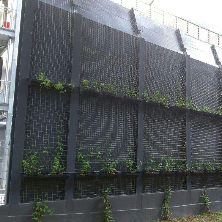 Combining Security and Sustainability with Solar Panel Fences