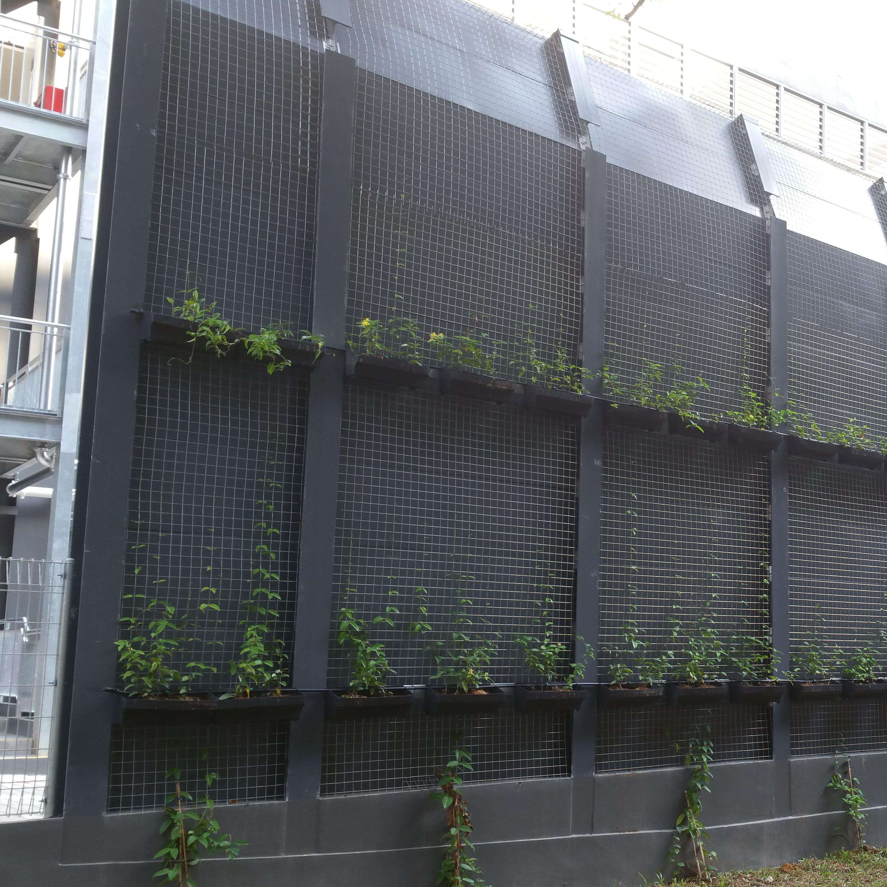 Cost-Effective Soundproofing Options for Businesses