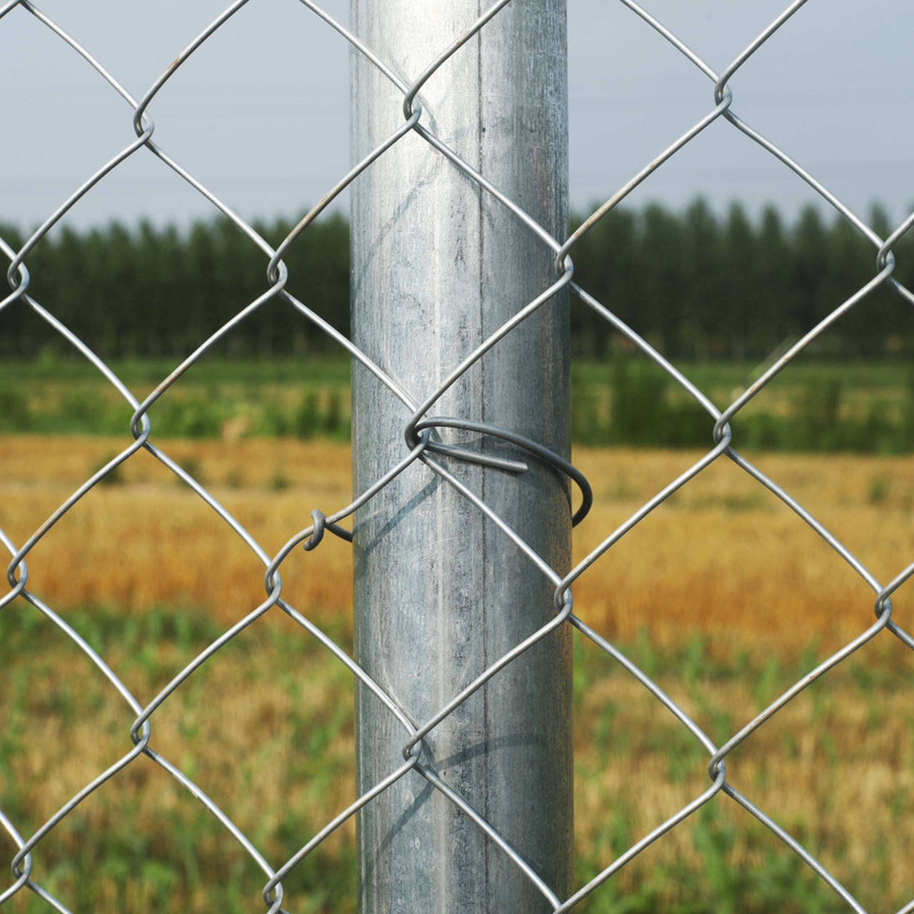 Stay Ahead of the Competition with Our Top-Notch Steel Fencing Solutions