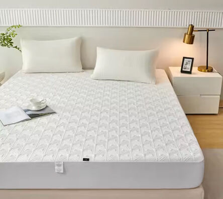 https://shopcdnpro.grainajz.com/category/73350/2751/b4c8a95021cf777634e7d1b3c284cb31/Mattress%20Protector.jpg