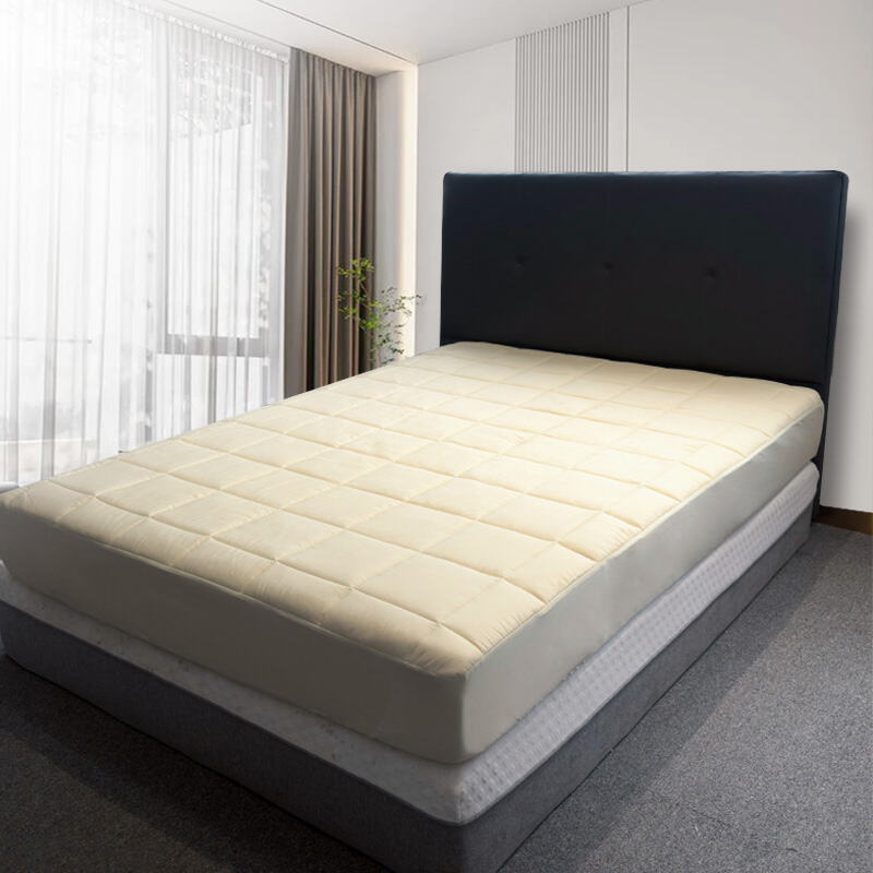 Technologia Subsidii Zonatae Exacte Ingeniata