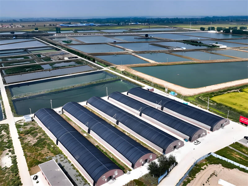 South Asian Agriculture and Aquaculture - Power Sources