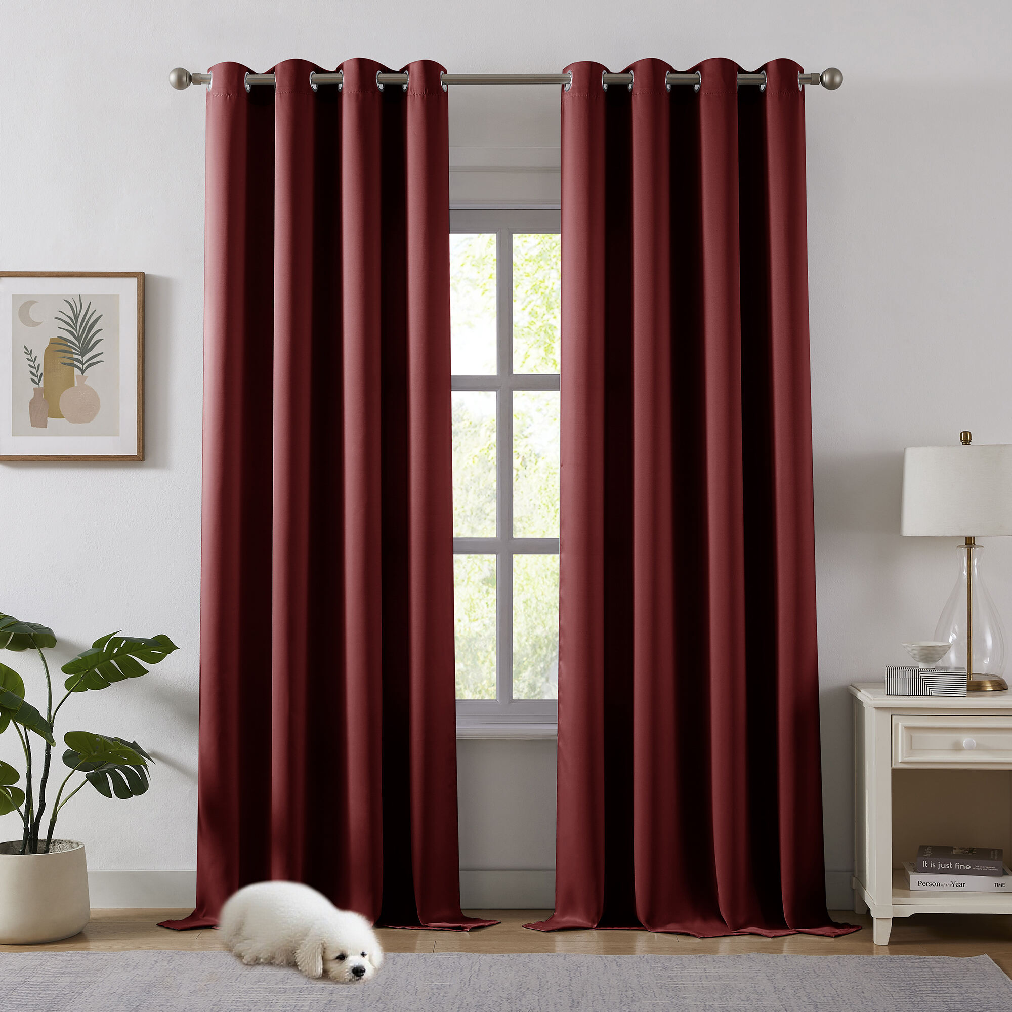 ?????????? ?????????? ???? ?????? ?????? ??? ????-?????????? ??????? ?? ??????, ????? ?????? ???? ?????????? ?????????