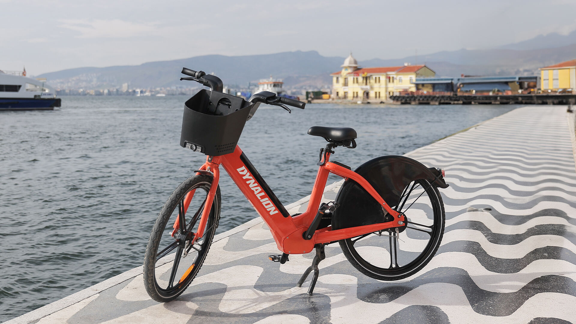 Shared Electric Bike