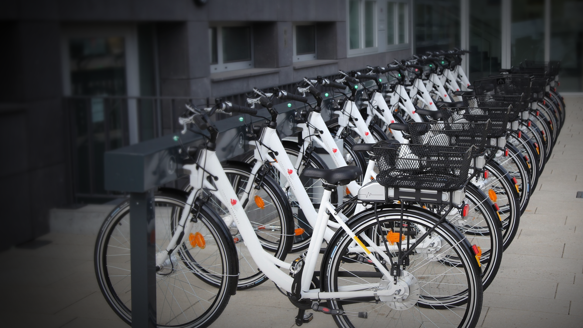 Bring Your Brand to Life – Customize Your E-Bike