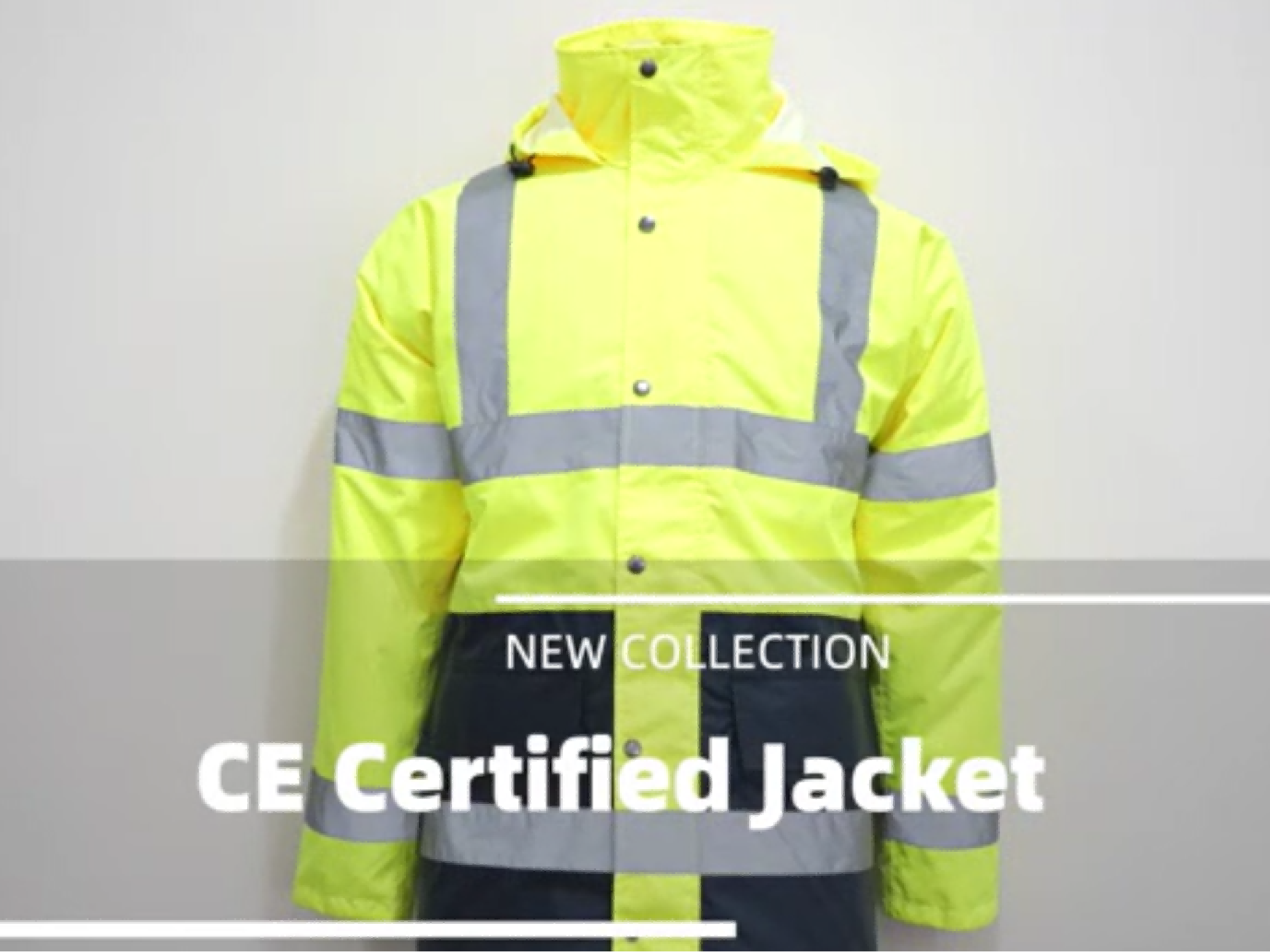 Conquer the Night, Guard Every Move.