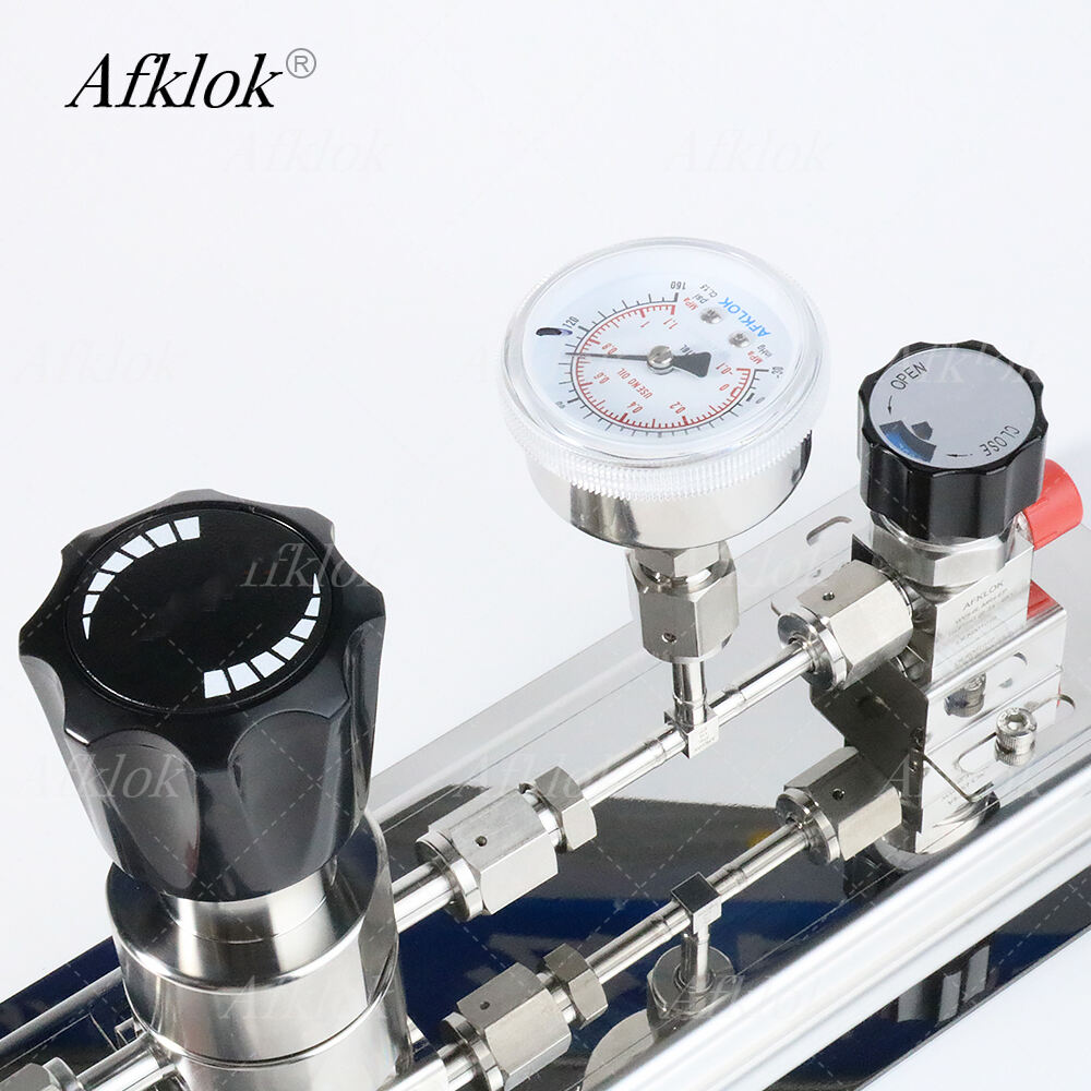 Ultra-high purity EP Grade Pressure Reducing Device Input Pressure 600psi Output Pressure 100psi