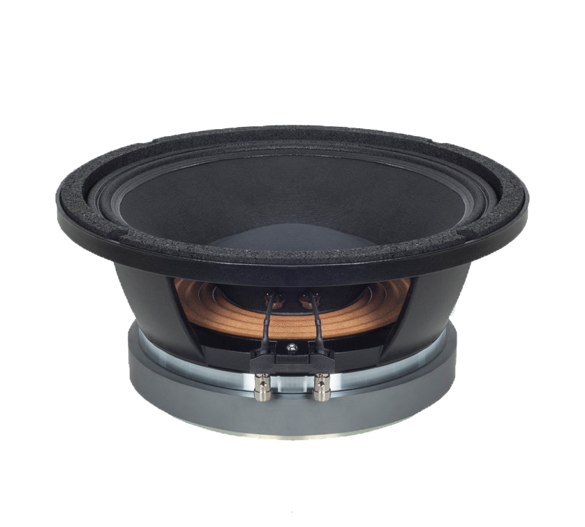 What Features Define a Professional Speaker?