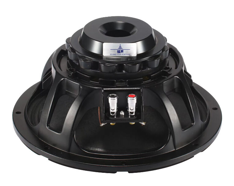 Mga Propesyonal na Subwoofer: Pinagkakatiwalaan ng Higit sa 50,000 Global na Kliyente para sa Kahusayan sa Bass