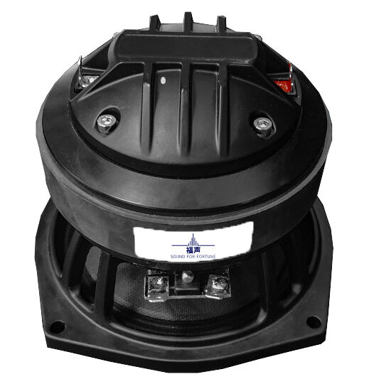 Malakas na Subwoofer para sa Nakaka-engganyong Karanasan sa Audio ng Mababang Dalas