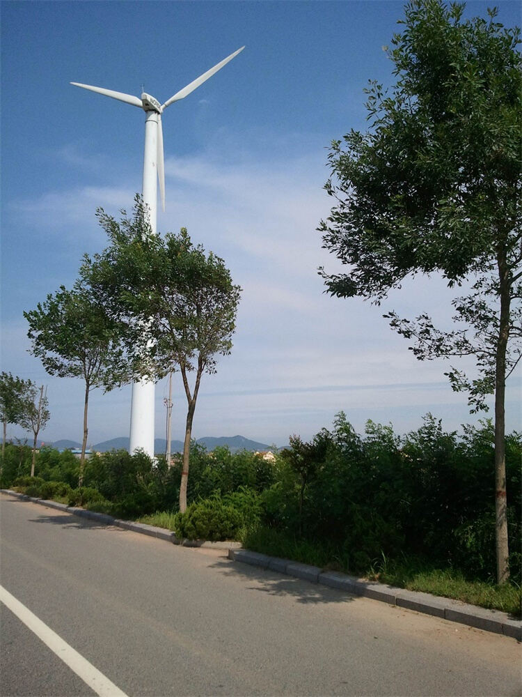 CE pitch control yaw on-grid off-grid single three phase 50KW turbine wind generator /100kw wind turbine price good manufacture