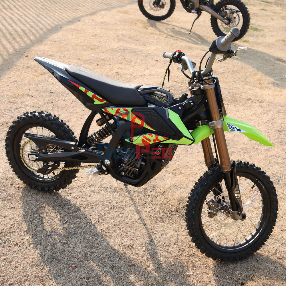 High-Performance Electric Motor and Drivetrain Excellence