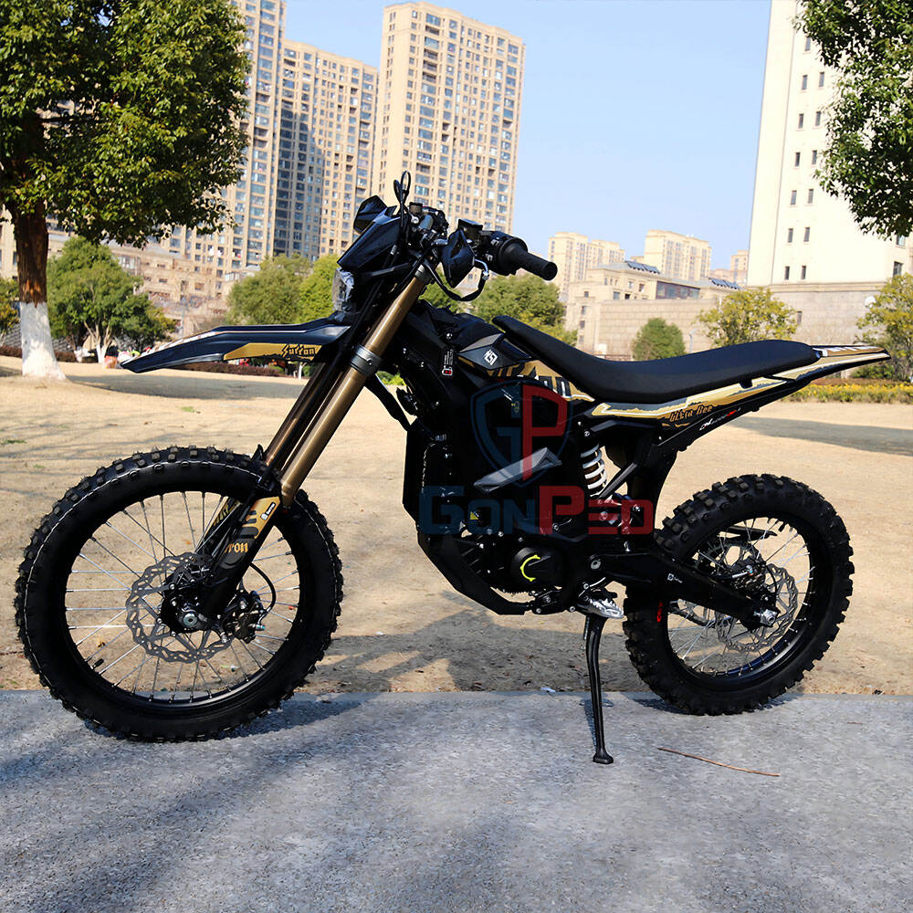 Revolutionary High-Performance Electric Motor Technology