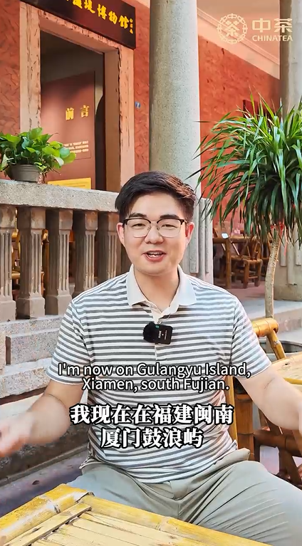 375: Tea Tasting on Gulangyu Island, Xiamen