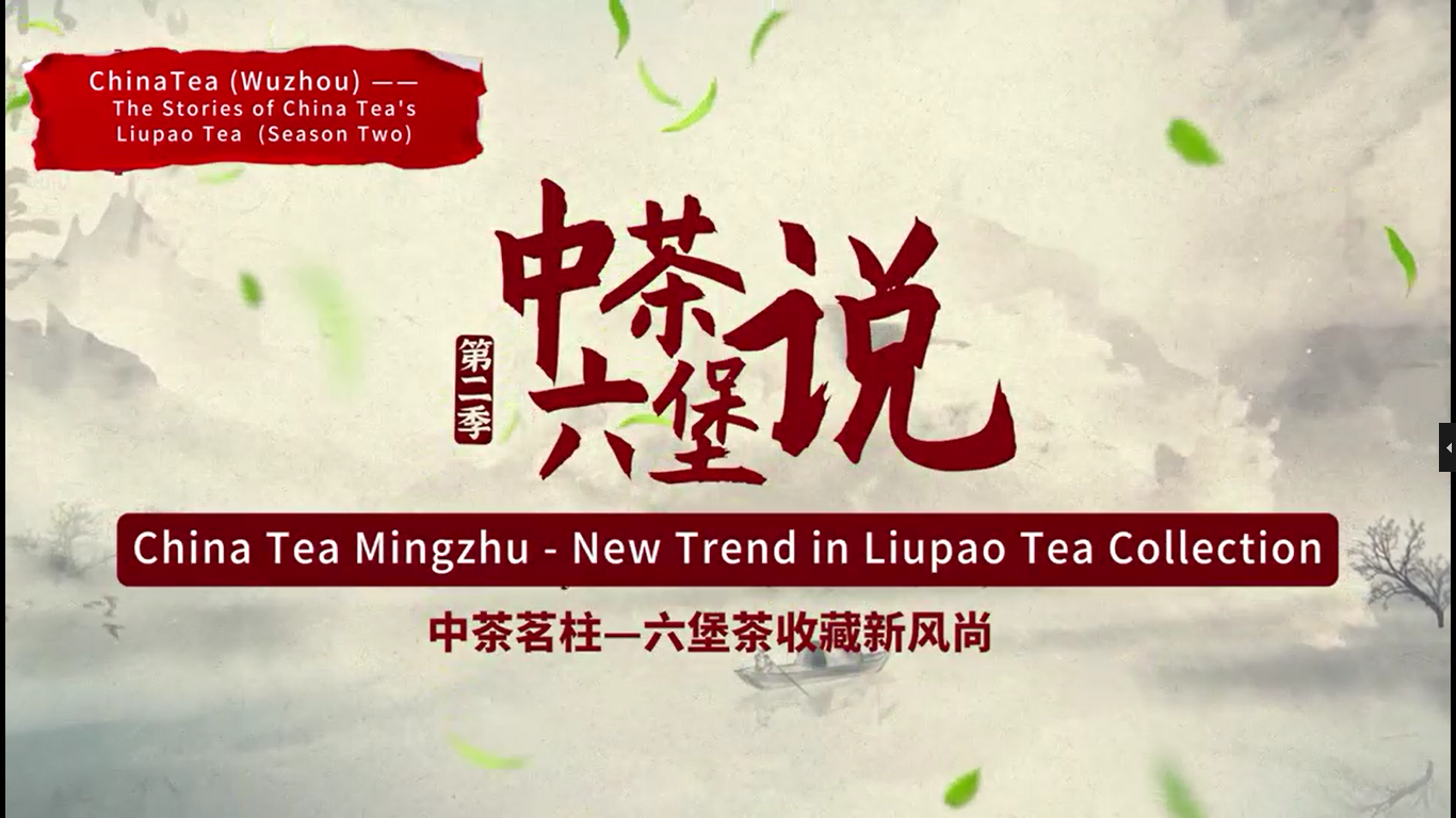 364:China Tea Mingzhu-New Trend in Liupao Tea Collection