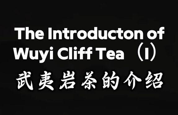 305: Something about Wuyi cliff tea (part one)