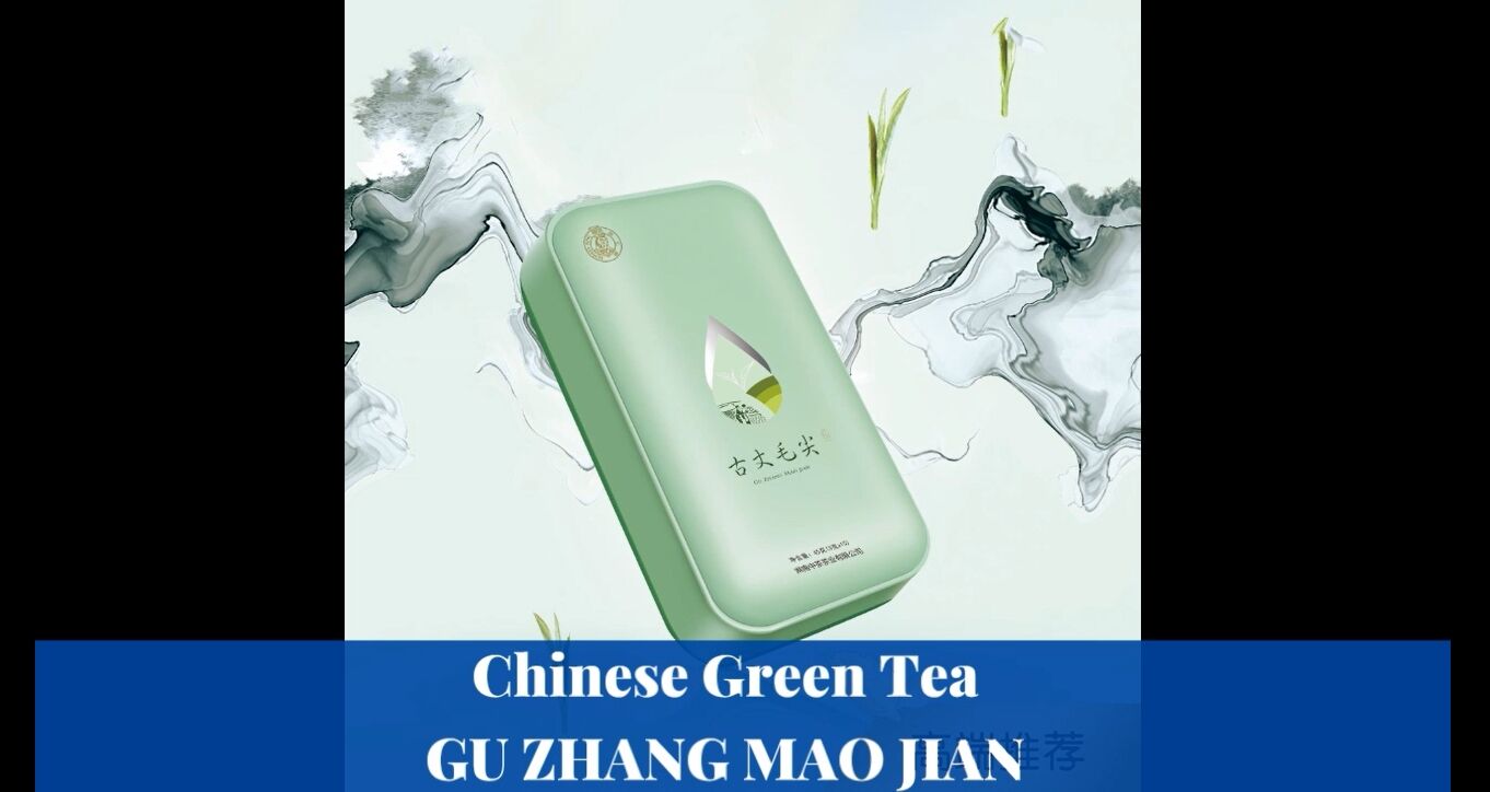 092: Teh Hijau Guzhang Maojian Tiongkok