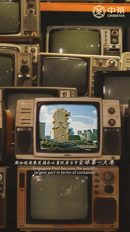 404:China Tea Xianye Liupao Tea